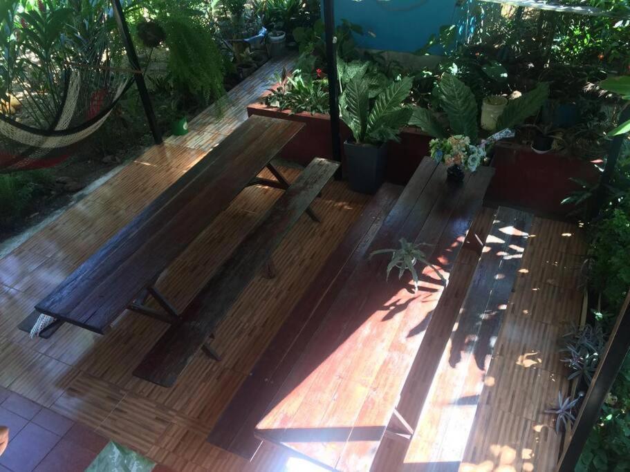 Hospedaje Valencia Osa, Cr Potrero  Екстер'єр фото