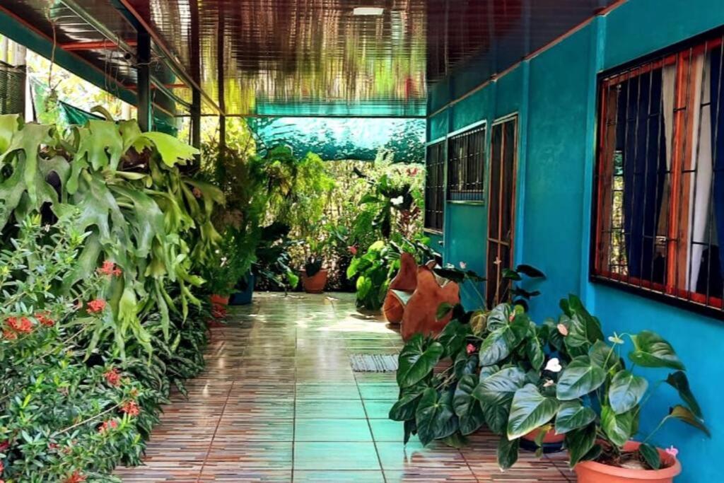 Hospedaje Valencia Osa, Cr Potrero  Екстер'єр фото