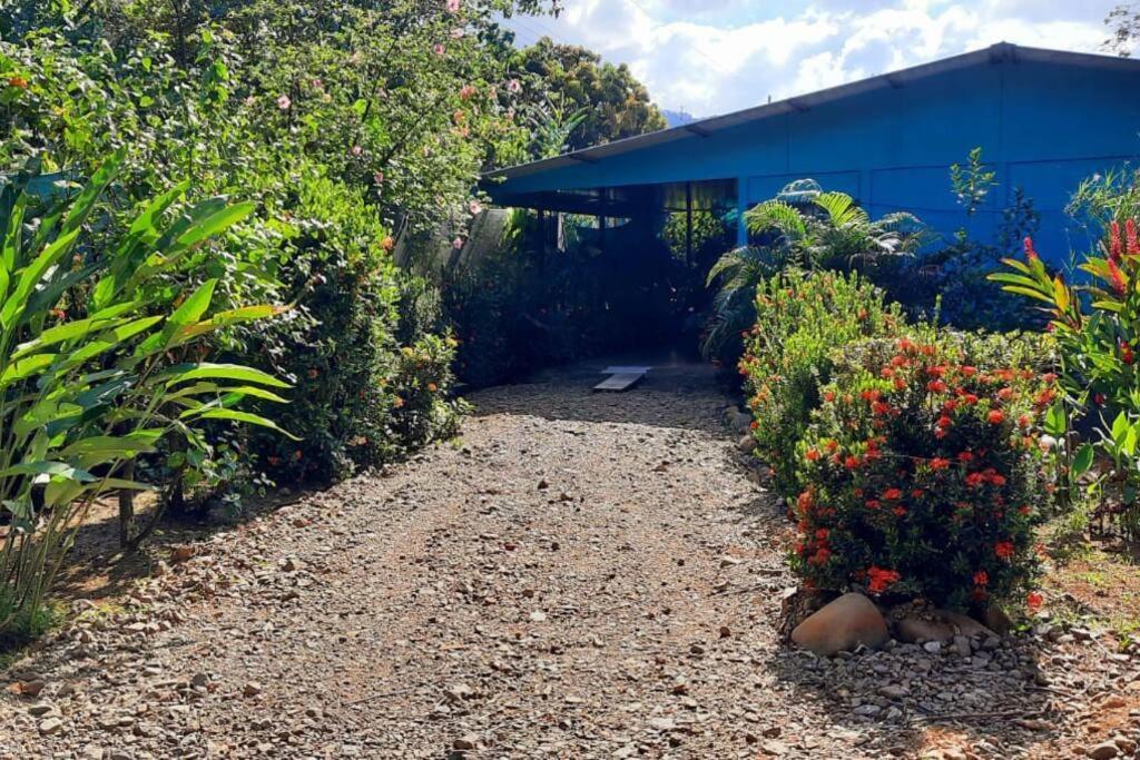Hospedaje Valencia Osa, Cr Potrero  Екстер'єр фото