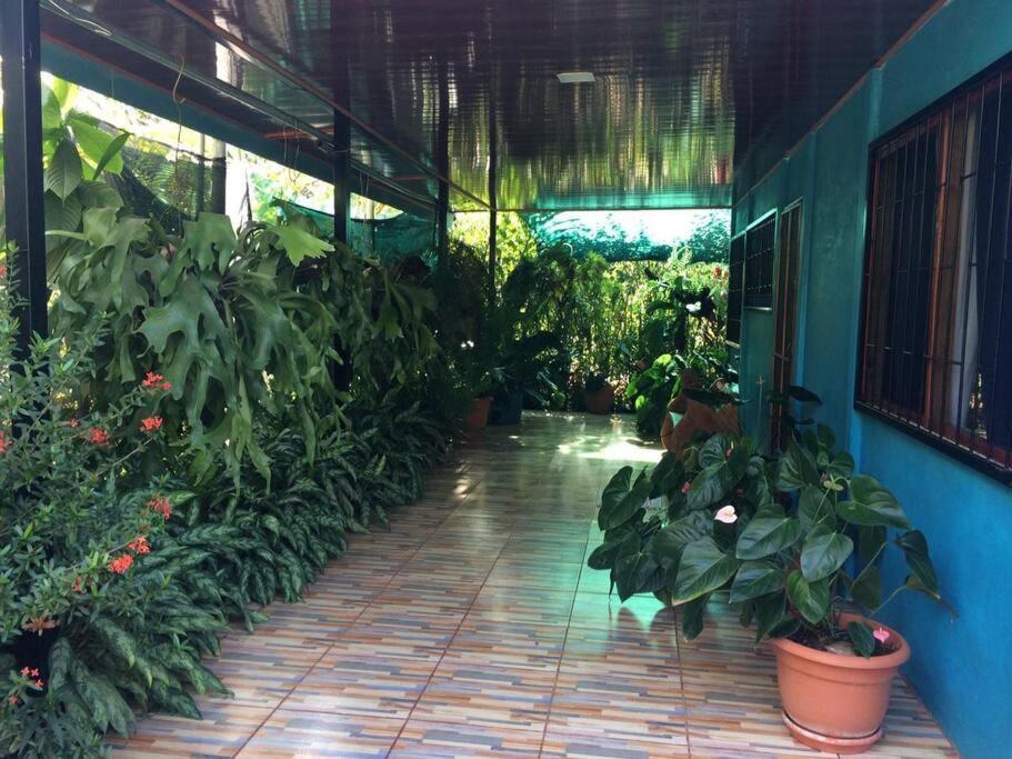 Hospedaje Valencia Osa, Cr Potrero  Екстер'єр фото