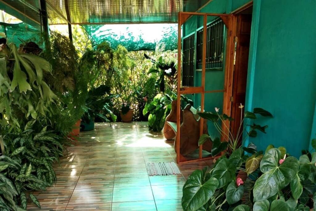 Hospedaje Valencia Osa, Cr Potrero  Екстер'єр фото